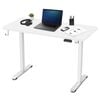 Lifespan Fitness Ergodesk Electric Standing Desk 120cm (white/white)