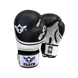 Leather Boxing Glove EVO Series in Black 10oz