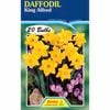Fiesta Flower Bulbs Daffodil King Alfred - 20 Bulbs