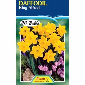 Fiesta Flower Bulbs Daffodil King Alfred - 20 Bulbs