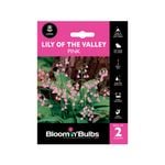 Bloomin Bulbs Lily Of The Valley Pink - 2 Pack