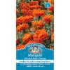 Mr Fothergill's Marigold (African) Kees' Orange Seeds