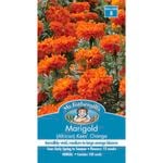 Mr Fothergill's Marigold (African) Kees' Orange Seeds