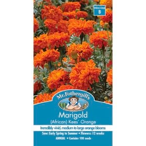 Mr Fothergill's Marigold (African) Kees' Orange Seeds