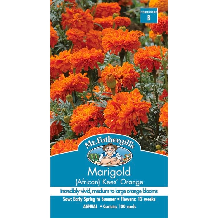 Mr Fothergill's Marigold (African) Kees' Orange Seeds
