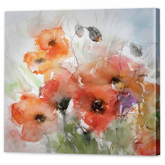 Watercolour Poppies | 40 x 40cm Stretched Canvas Print