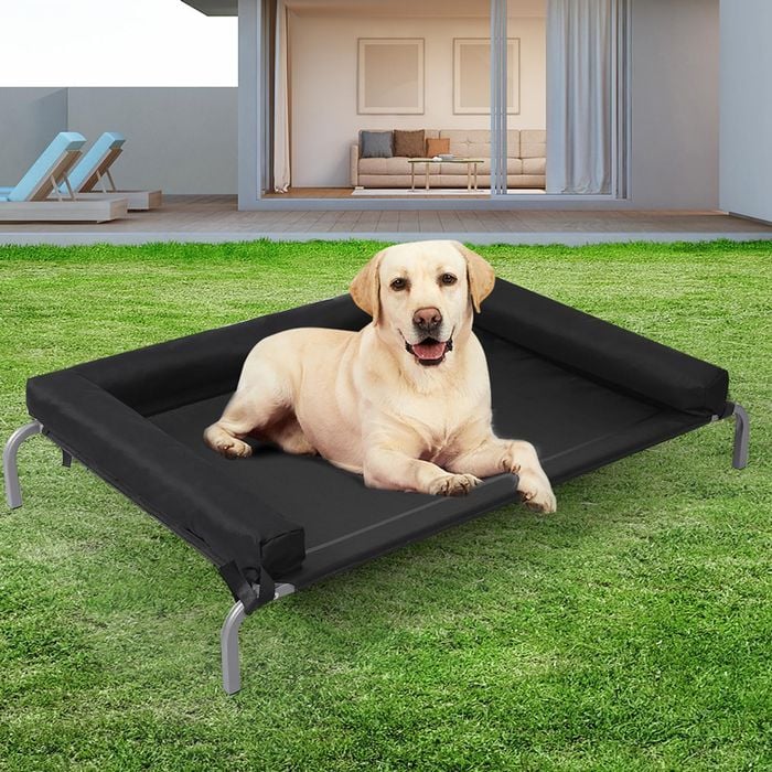 Raised dog bed bunnings hotsell