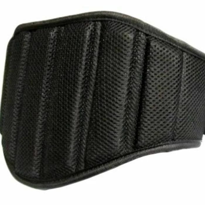 Morgan V2 Endurance Weight Belt [large]