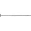 NZ Nails Flat Head  19x1.6mm   250g Galv Nail