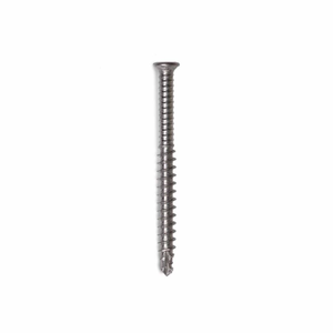 Decking Screw Stainless Steel 10G x 50MM - 250 Pack