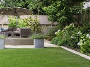 A garden with lush green grass and raised entertaining area