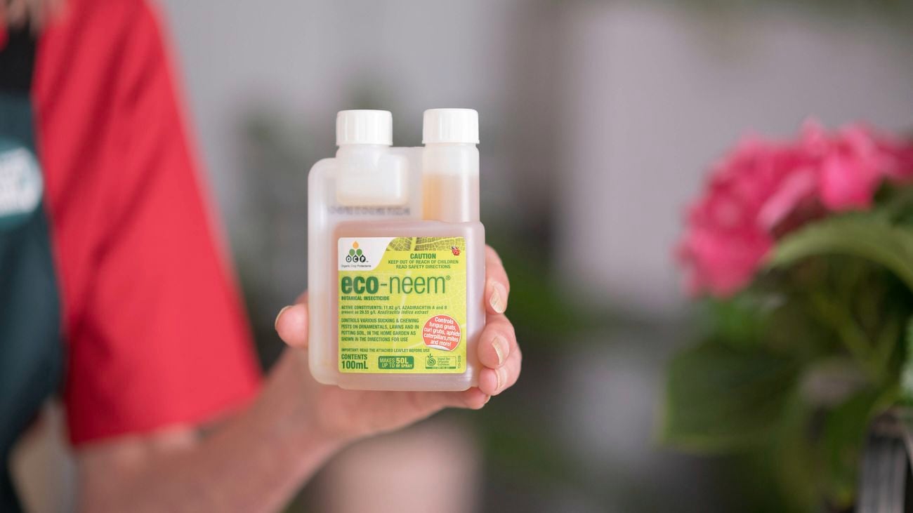 A hand is holding eco neem botanical insecticide.