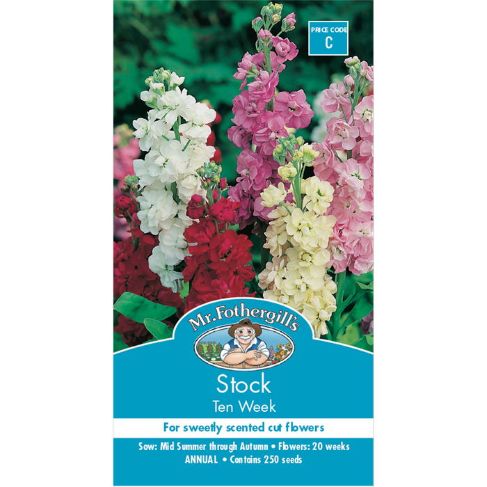 Mr Fothergill's Stock Ten Week Perfection Flower Seeds