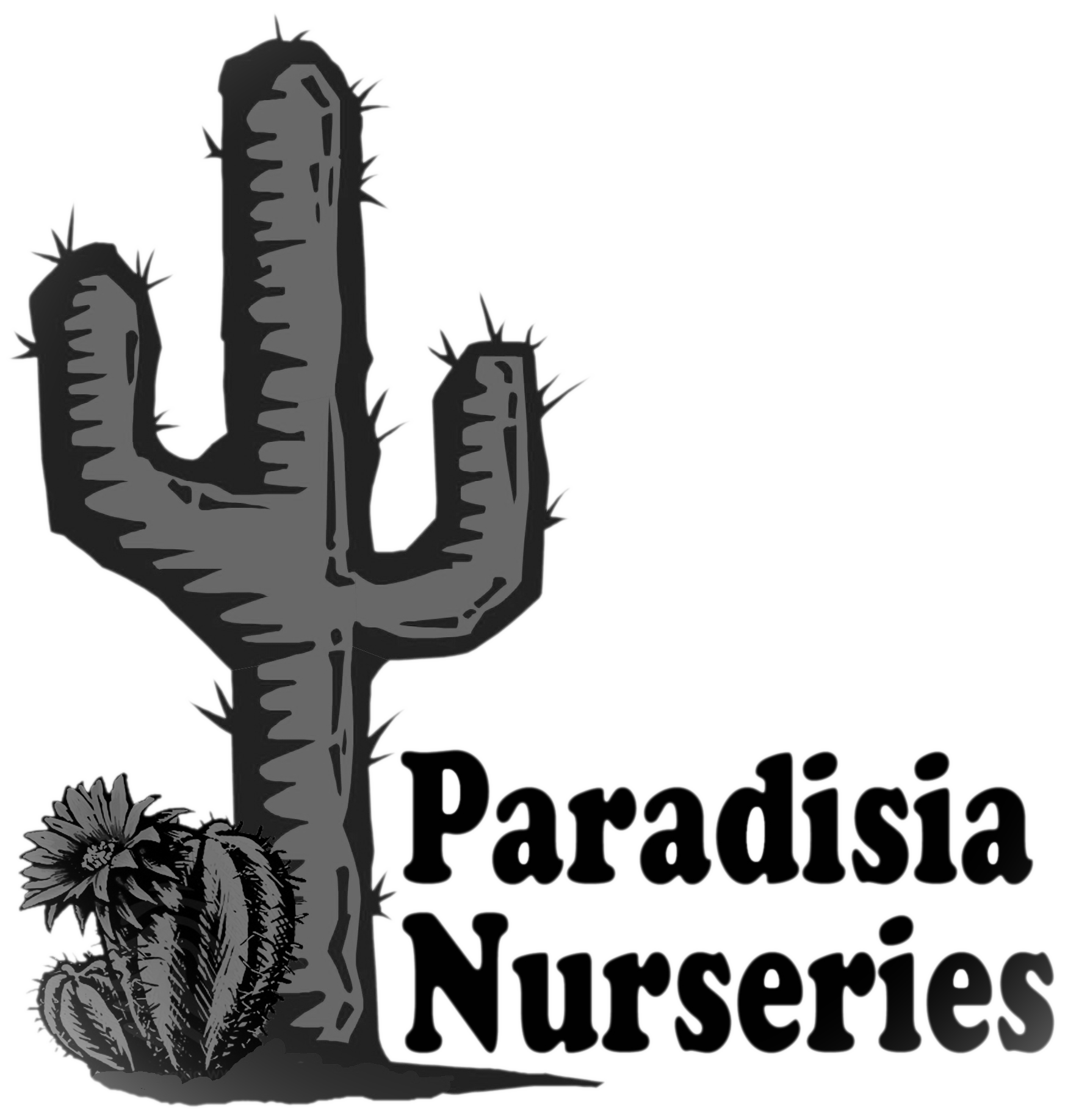 Paradisia Nurseries