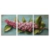 3pcs Botanical Lilac Floral Illustration Print 100% Australian Made 3 x 40x60cm (Metal Print)