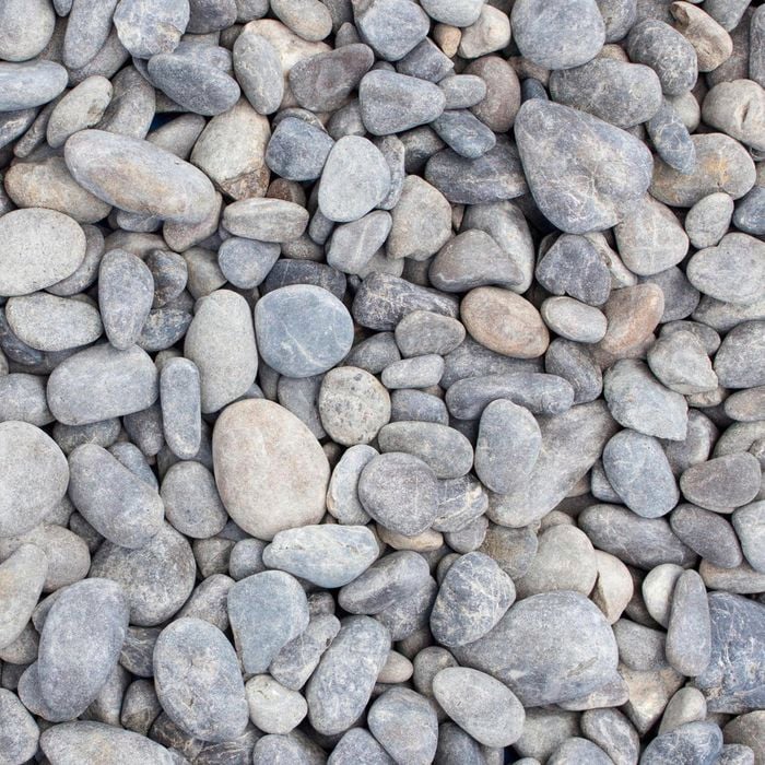 Daltons 20-65mm 1/2cubic metre Large Riverstone Pebble