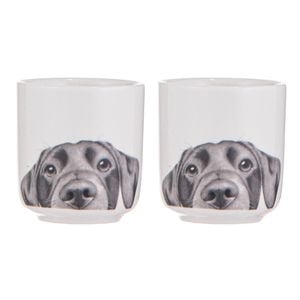 Ashdene Peeking Pups Labrador Set Of 2 Egg Cups