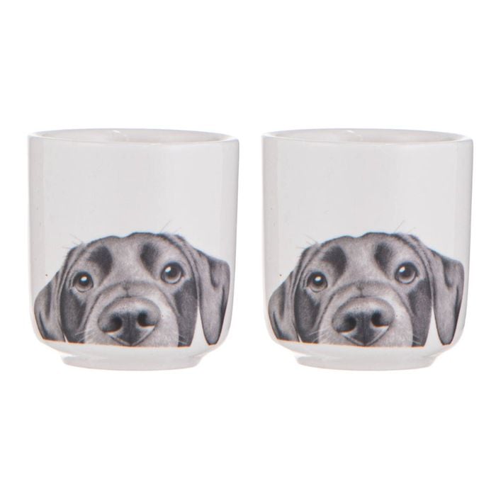 Ashdene Peeking Pups Labrador Set Of 2 Egg Cups