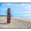 Driftwood Totem on Dunes at Ohope  Print 100% Australian Made 120x90cm  (Poster)