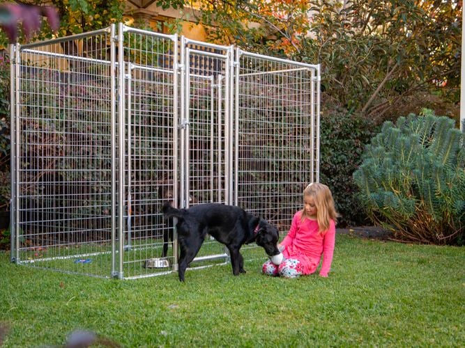 Rapid Products - Gallery - pet product image 3