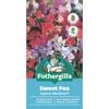 Fothergill's Sweet Pea Explorer Flower Seeds