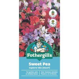 Fothergill's Sweet Pea Explorer Flower Seeds