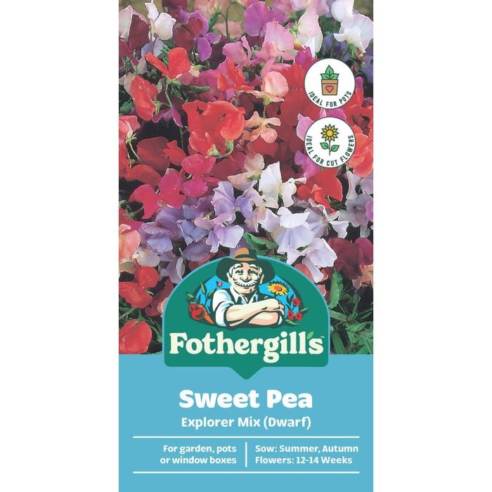 Fothergill's Sweet Pea Explorer Flower Seeds
