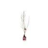 250mm Queen Giant Nectarine - Prunus persica var. nucipersica