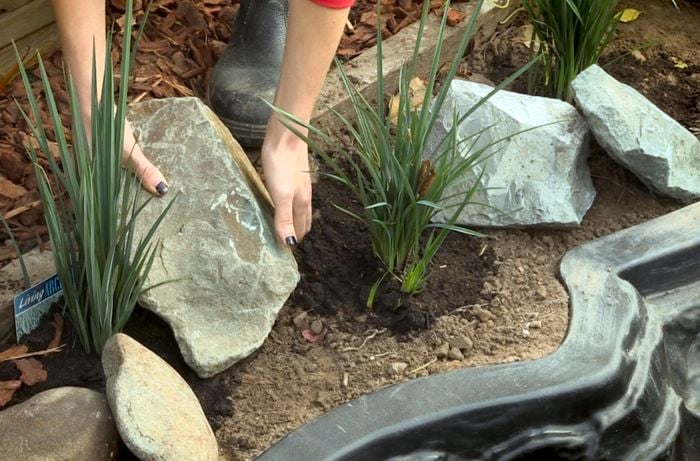 Person laying rock down next to dug up hole.