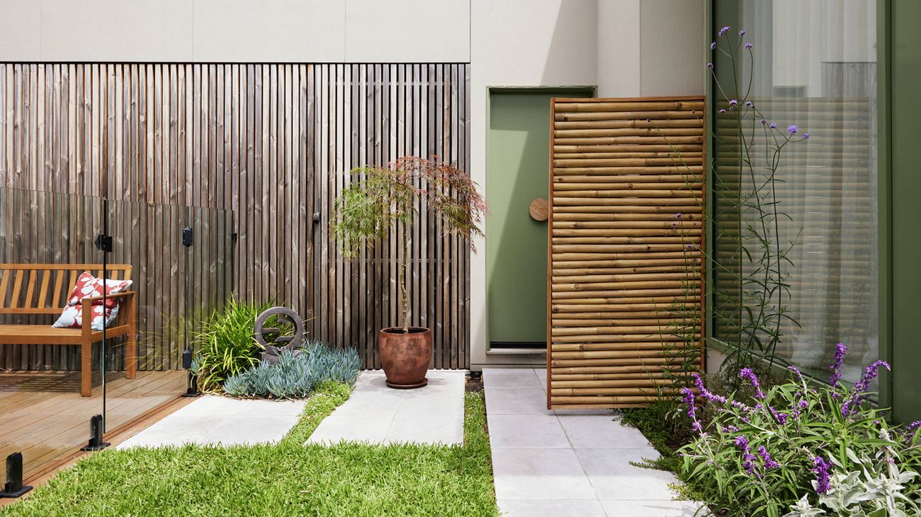 A garden area with a lawn and large pavers in between a modern house and glass pool fencing with a timber fence behind. A bamboo screen, potted tree and sculptural plantings embody Japandi style.
