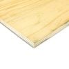 StrongPly14 2400 x 1200 x 21mm Structural Untreated Plywood