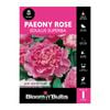 Bloomin' Bulbs Paeony Rose Edulus Superba 1 Pack