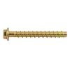 Ramset 10 x 100mm Zinc AnkaScrew Masonry Anchor