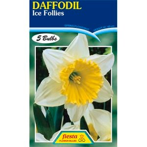 Daffodil Ice Follies - 5 Bulbs