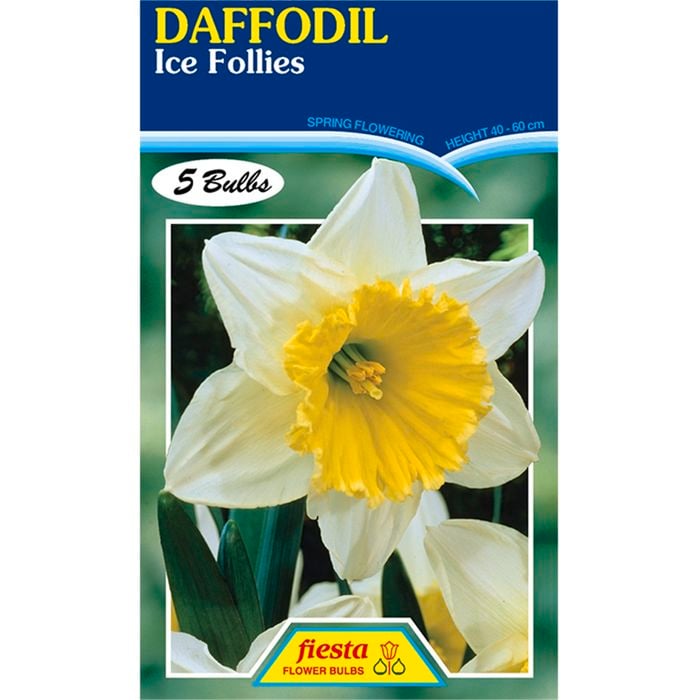 Daffodil Ice Follies - 5 Bulbs