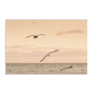 Artey | Sunset Flocks - Stretched Canvas - Stretched Canvas - 60 x 90cm