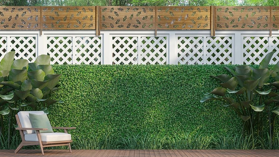Hedge separating neighbouring houses with timber lattice extending the height