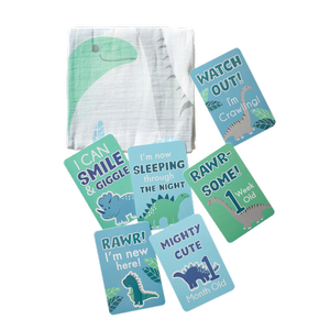 Lorraine Lea Dinosaur Milestone Muslin Blanket