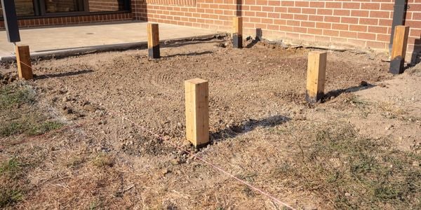 Stumps fixed into the backyard.