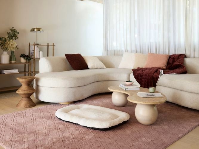 A modern furnished lounge room, with a couch, coffee table, dog bed on a rug on the floor and 2 shelving units next to the wall in it.