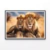 Lions Resting In the Grasslands  Print 100% Australian Made 120x90cm  (Poster)