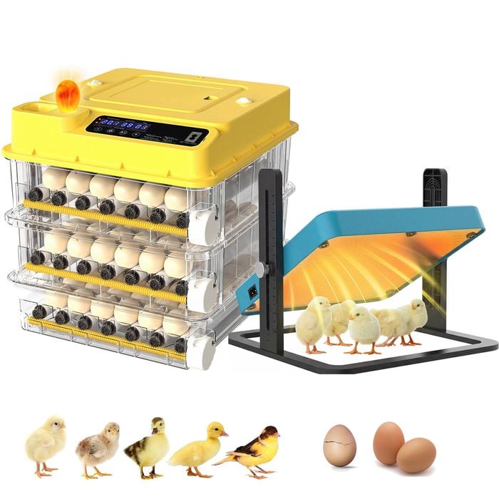 Advwin 108 Egg Incubator + Chicken Brooder Heating Plate