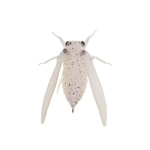 Jackson Namazemi Cicada 42mm Topwater Fishing Lure ASH