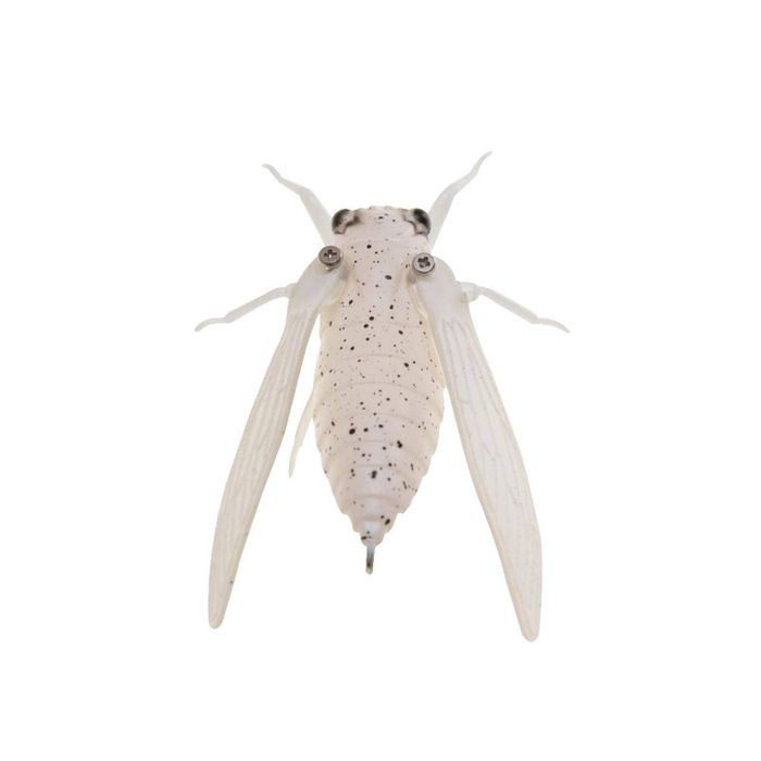 Jackson Namazemi Cicada 42mm Topwater Fishing Lure ASH