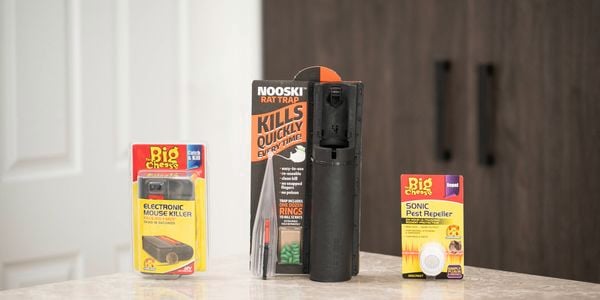 Rodent control products on a counter: mouse killer, rat trap, and pest repeller