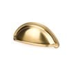 Sylvan 3" Brass Warwick Pull
