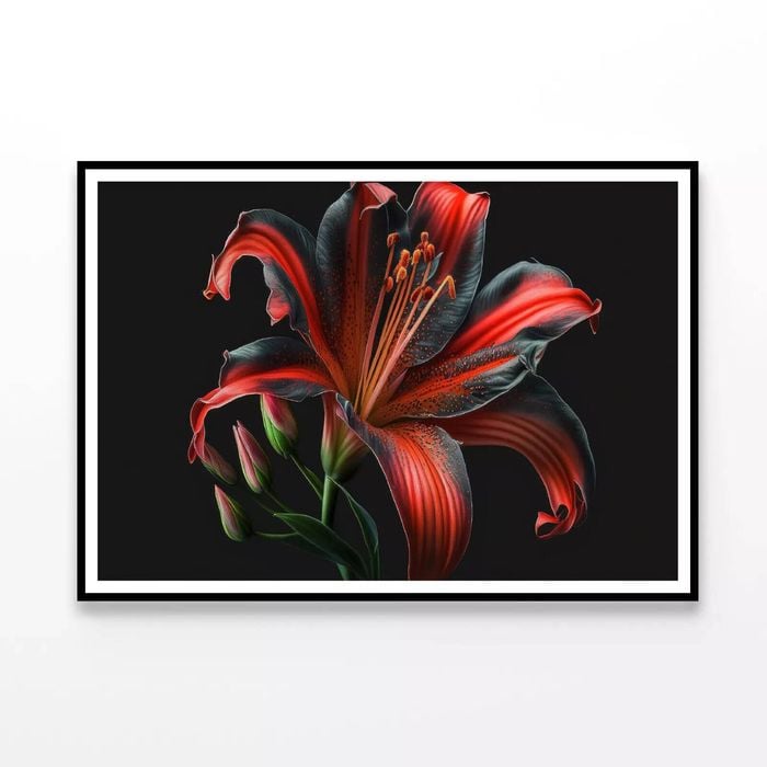 View of Lily Blossom  Print 100% Australian Made 120x90cm  (Poster)
