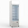 Thermaster 370L Single Glass Door Colourbond Upright Drink Fridge LG-370P