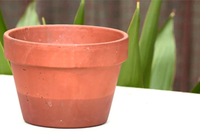 A flowerpot on a table
