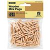 All Set Wooden Mini Pegs - 50 Pack